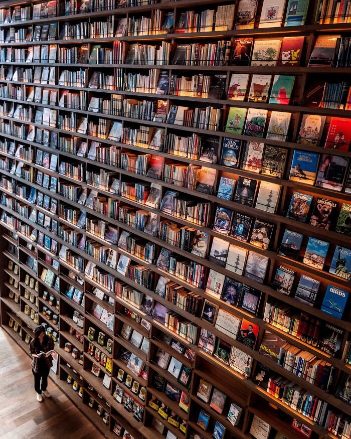 Grande e grandiosa biblioteca com extensas estantes cheias de livros e uma pessoa lendo dentro do espaço aconchegante.